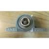 NEW AMI Asahi Bearing, P206, 2 Bolt Mounting, Bearing # UC206-19, OLD STOCK #1 small image